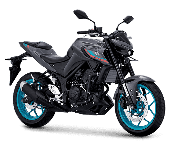 YAMAHA MT 25